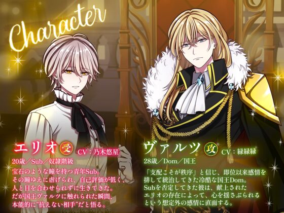 唯我独尊Dom王は幸薄純粋Subを甘く躾ける【特典漫画付き】 [Star Garden] | DLsite がるまに