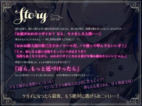 黒猫ノワ様のエッチな恩返し。〜ツンデレ甘S猫王子の執着交尾から逃げられない【嫉妬レ●プ×溺愛求婚】