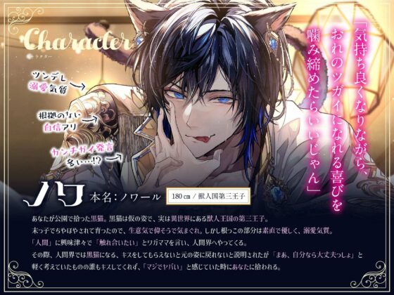 黒猫ノワ様のエッチな恩返し。〜ツンデレ甘S猫王子の執着交尾から逃げられない【嫉妬レ●プ×溺愛求婚】