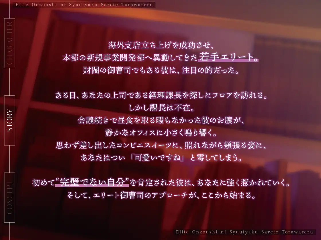 エリート御曹司に執着されて囚われる [諾森猫団] | DLsite がるまに