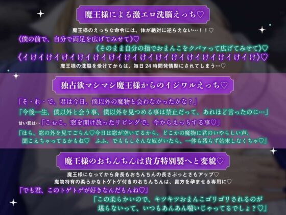 聖女は闇堕ち勇者に処女を奪われる〜崩壊した世界で君とふたりきり洗脳えっち〜