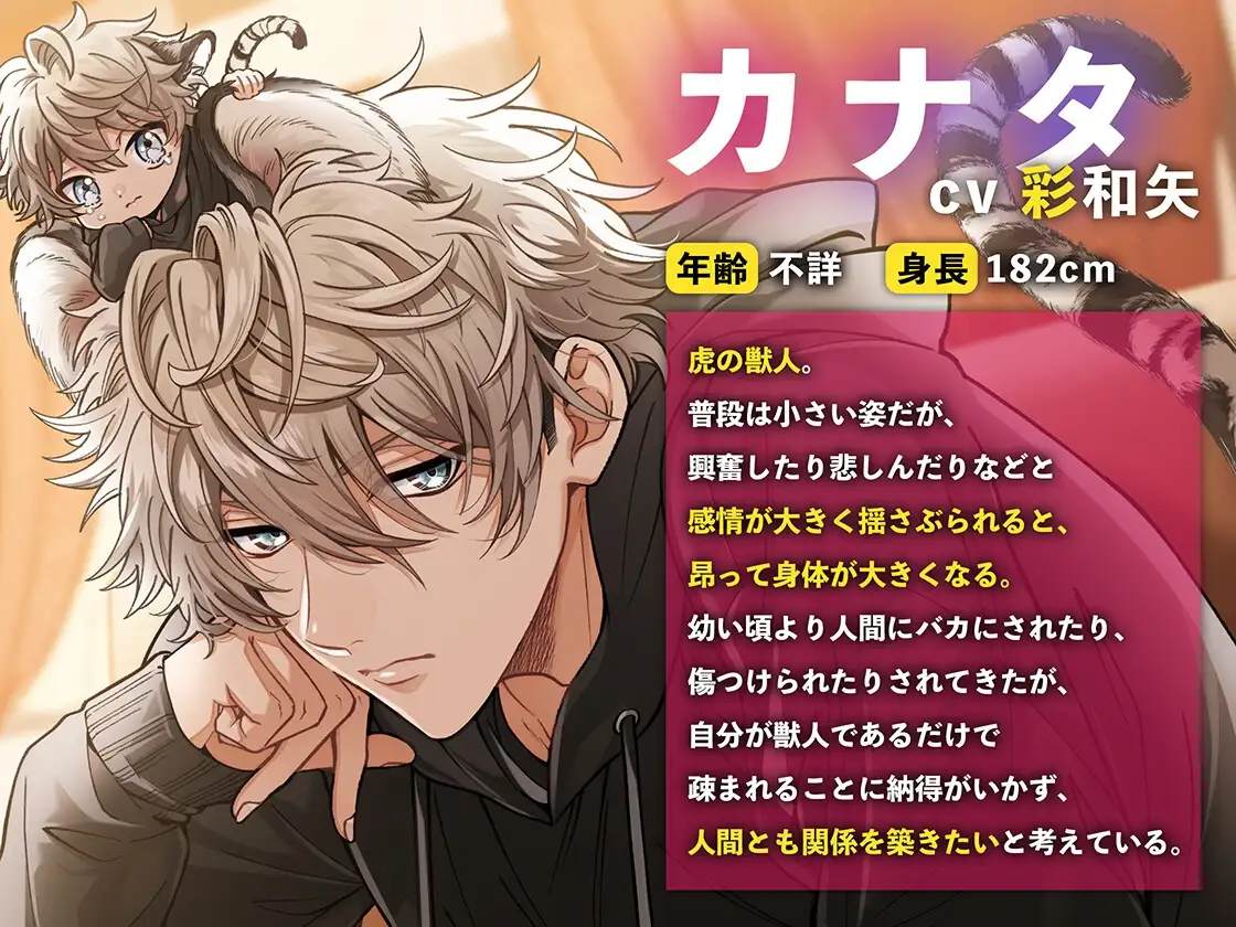 虎の子カナタとぺろあま獣○えっち〜迷い込み虎の子が超絶ドSイケメンに変身してトゲつきパンパンおちんぽでイチャラブえっち〜 [もふもふ男子図鑑] | DLsite がるまに