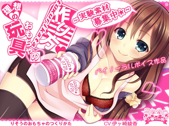 理想の玩具の作り方～実験素材募集中☆～ [シロクマの嫁] | DLsite 同人 - R18