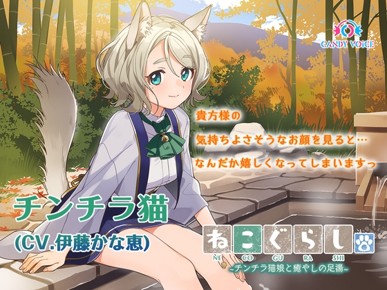 【耳かき・炭酸シャンプー】ねこぐらし。2〜チンチラ猫娘と癒やしの足湯〜【CV: 伊藤かな恵】 [CANDY VOICE] | DLsite 同人 - R18