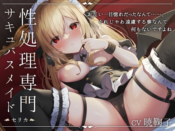 性処理専門サキュバスメイド -セリカ- [金平糖の夢] | DLsite 同人 - R18