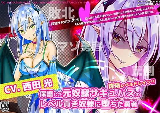 保護した元奴隷サキュバスのレベル貢ぎ奴隷に堕ちた勇者【マゾ向け音声】 [島取砂久] | DLsite 同人 - R18