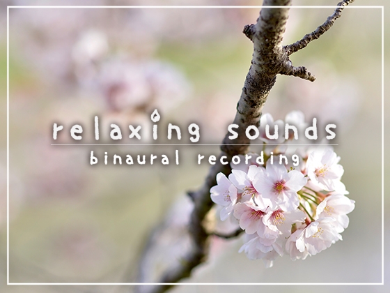 眠れない夜、最後に聴く音 #11 [abyssal forest] | DLsite 同人 - R18