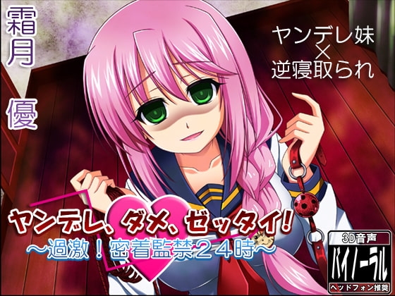 ヤンデレ、ダメ、ゼッタイ!～過激!密着監禁24時～ [Dogrun] | DLsite 同人 - R18