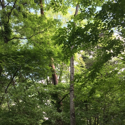 白州 - 雨の朝01 (バイノーラル録音) [UZrecords] | DLsite 同人 - R18