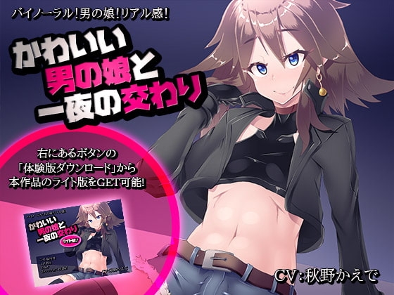 【ライト版は無料!】かわいい男の娘と一夜の交わり [煙屋] | DLsite 同人 - R18