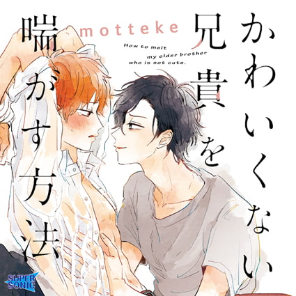 かわいくない兄貴を喘がす方法 [SUPERSONIC] | DLsite がるまに