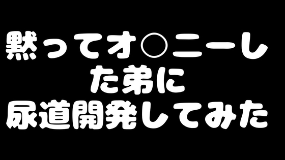 黙ってお〇にーした弟に尿道開発してみた [秘密のおもちゃ] | DLsite がるまに