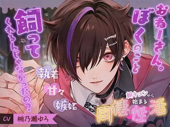 朝チュンから始まる同棲『性』活 ～おねーさん。ぼくのこと飼ってくれるんじゃなかったの?～ [cwtch] | DLsite がるまに