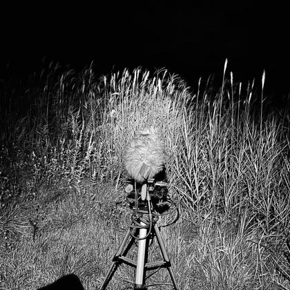 20230904 11:21pm 五八木 [FLAC] [UZrecords] | DLsite 同人 - R18