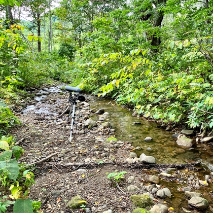 20230904 11:24am 妙高市直川支流 [FLAC] [UZrecords] | DLsite 同人 - R18