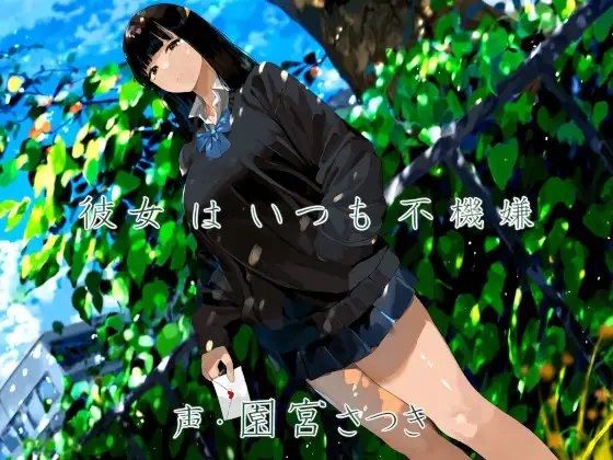 彼女はいつも不機嫌 [近未来のふわふわ] | DLsite 同人 - R18