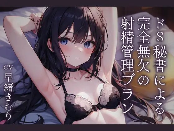 ドS秘書による完全無欠の射精管理プラン [きむりのないしょばなし] | DLsite 同人 - R18