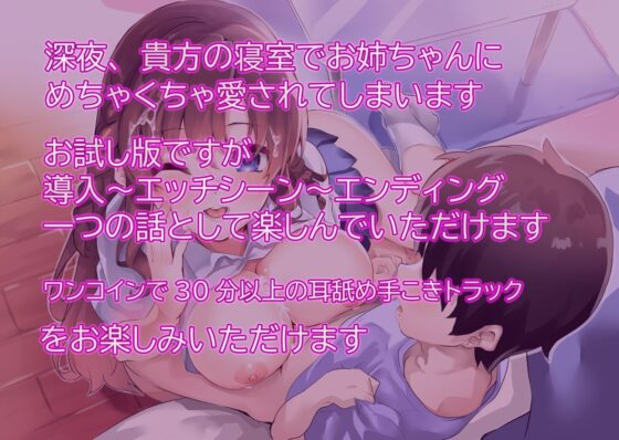 巨乳お姉ちゃんが自慰行為しているところをみてしまいました ～kanni～ [萌えCute!] | DLsite 同人 - R18