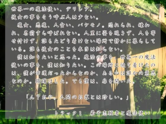 魔法使いとその小さな弟子 [近未来のふわふわ] | DLsite 同人 - R18