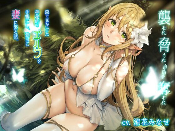 【KU100】森で見かけた神秘的なエルフを手籠にし、強引に妻に娶る話 〜襲われ脅され自由を奪われ〜【CV:涼花みなせ】【男性攻め】 [スタジオぽんぽこ] | DLsite 同人 - R18