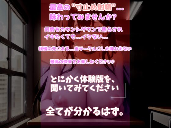 文化祭の催しは学園風俗!? 私が良いって言うまで出さないでください...♪ 奥手で真面目な生徒会長の寸止めカウントダウン中〇しSEX♪ [いむらや] | DLsite 同人 - R18