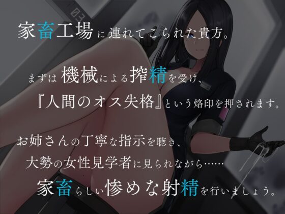 家畜射精3 お姉さんの丁寧語でイク工場見学会 [シルトクレーテ] | DLsite 同人 - R18