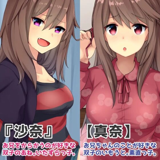 かわいい双子の妹にオナニーの見せあいっこや射精我慢を強要されちゃう音声 [Sumikko Circle] | DLsite 同人 - R18
