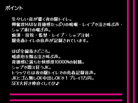2時間00分20秒-JK拉致レイプ・痴漢・シャブ漬・ハメ撮り・駅売春トイレ [にゃんこフェチ] | DLsite 同人 - R18
