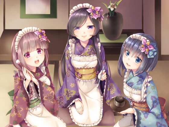 【関西方言】ご主人様の睡眠をより快適にするための『メイドさんのご奉仕作戦』【48kHz24bitハイレゾ】 [+Dream] | DLsite 同人 - R18