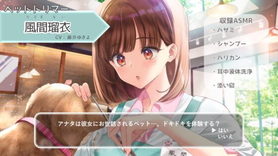 【ハサミ・耳中洗浄・添い寝】おしごとねいろ ～ペットトリマー編～【CV.藤井ゆきよ】 [kotoneiro] | DLsite 同人 - R18