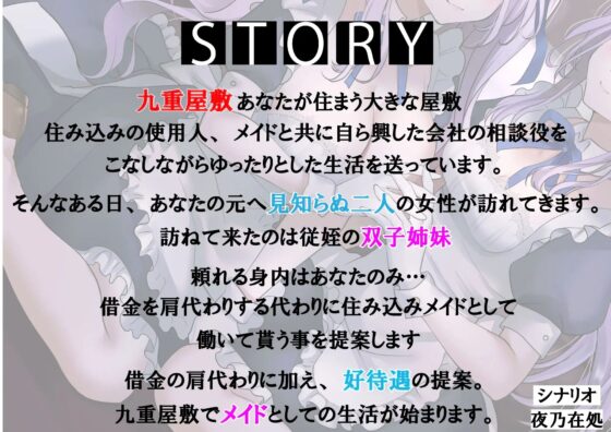 【メイド音声】だいすきご主人様～ドジっ子メイド有紀&amp;腹黒メイド真紀～【CV:真白真雪】【KU100】 [大盛やきそば会] | DLsite 同人 - R18