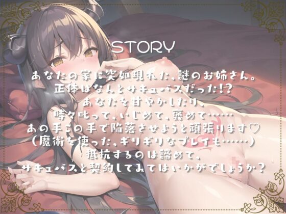 ドスケベサキュバスがあなたのお姉ちゃんになってあげる [あさりうなぎ] | DLsite 同人 - R18