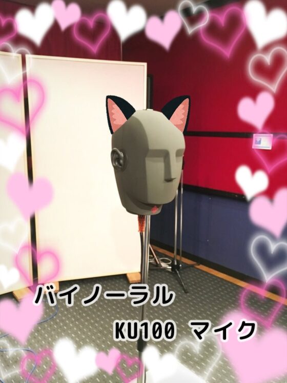 【KU100バイノーラル】姉ヌキ～しずお姉ちゃんの場合～【ASMR】 [メヤスバコ-MeyasuBako-] | DLsite 同人 - R18