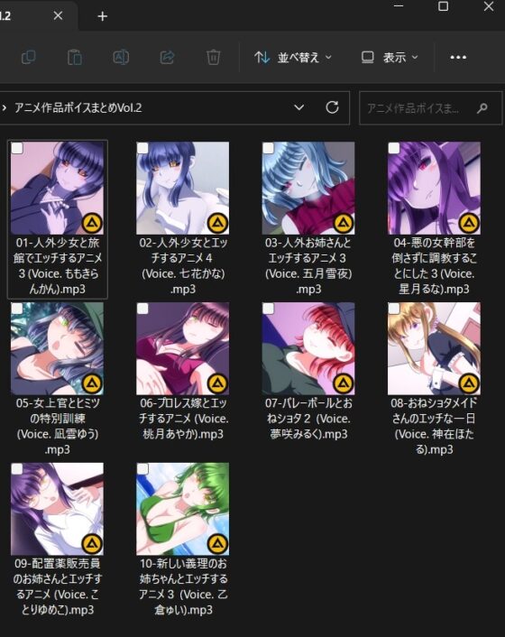 アニメ作品ボイスまとめVol.2 [Sometimes Bad Tool] | DLsite 同人 - R18