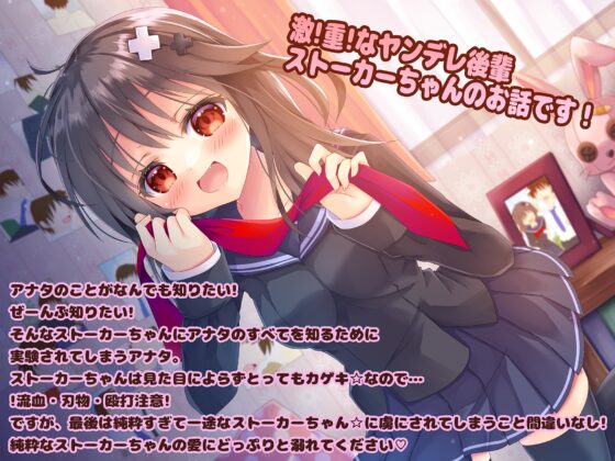 【激重】熱烈☆ストーカーちゃん!～壊れた女の子はスキですか?～【暴力表現流血有】 [雪道アンブレラ] | DLsite 同人 - R18