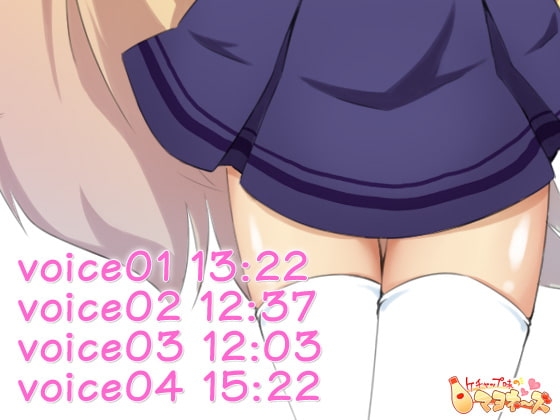 完璧なお嬢様のアヘ声性奴隷改造調教 [ケチャップ味のマヨネーズ] | DLsite 同人 - R18