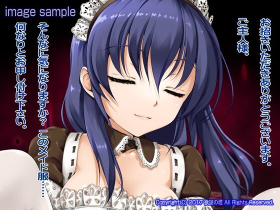 淫魔召還してみた! [欲望の塔] | DLsite 同人 - R18