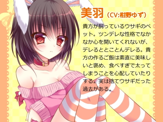 ツンデレなウサ耳っ娘と触れ合いエッチしちゃいました [フヅキ堂。] | DLsite 同人 - R18