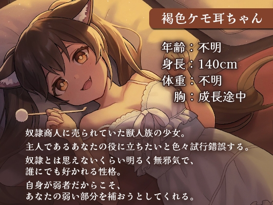 パーティのけも耳娘に癒されて… [SWEETHOLIQUE] | DLsite 同人 - R18