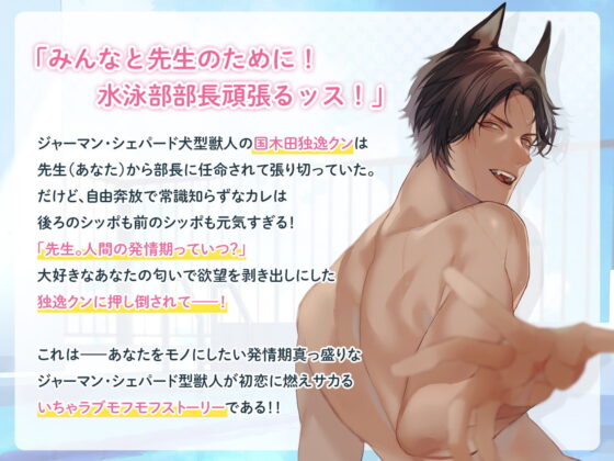 獣人水泳部！ジャーマン・シェパードな国木田独逸クン CV.後藤寝床【簡体中文台本付属】 [ひつじぐも] | DLsite がるまに