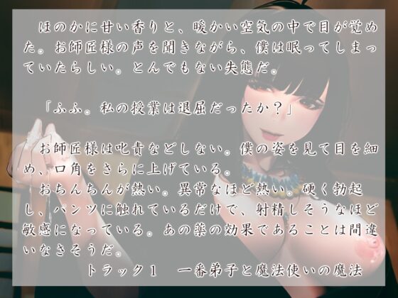 魔法使いとその小さな弟子 魔法の夜 [近未来のふわふわ] | DLsite 同人 - R18