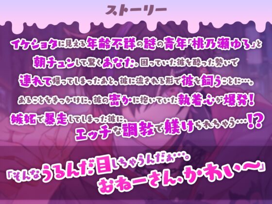 朝チュンから始まる同棲『性』活 ～おねーさん。ぼくのこと飼ってくれるんじゃなかったの?～ [cwtch] | DLsite がるまに