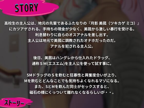 SMドラッグとキメセク ～僕はふたなりヤンキーのマゾ奴隷に堕ちる～ 【KU100】 【ドM向け】 [仮性旅団] | DLsite 同人 - R18