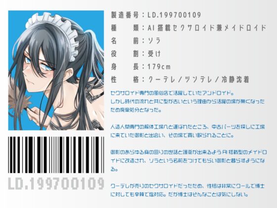 メイドロイドのソラくん～変態的天才博士と甘くない日常～ [夏八木瑠一] | DLsite がるまに