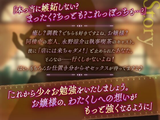 【KU100】はしたないです、お嬢様～過保護で執事な彼氏の言葉責め 調教勉強おセックス～ [cwtch] | DLsite がるまに