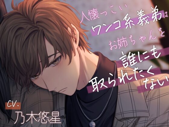 【義弟×小型ワンコ系】人懐っこいワンコ系義弟はお姉ちゃんを誰にも取られたくない～俺、姉ちゃんのこと女の子として見てるんだ…～ [偏愛カタルシス] | DLsite がるまに