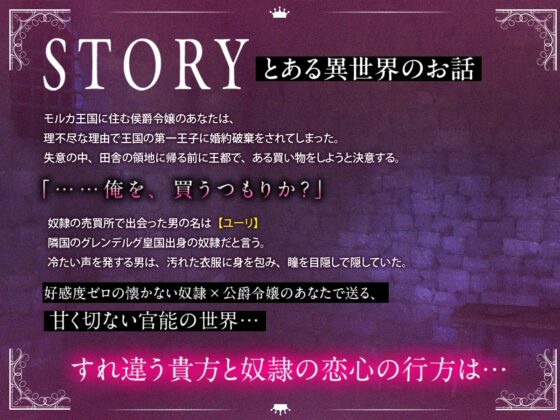 婚約破棄されたので買ったツンデレ奴隷にがっつり執着されちゃいました [耳Honey] | DLsite がるまに