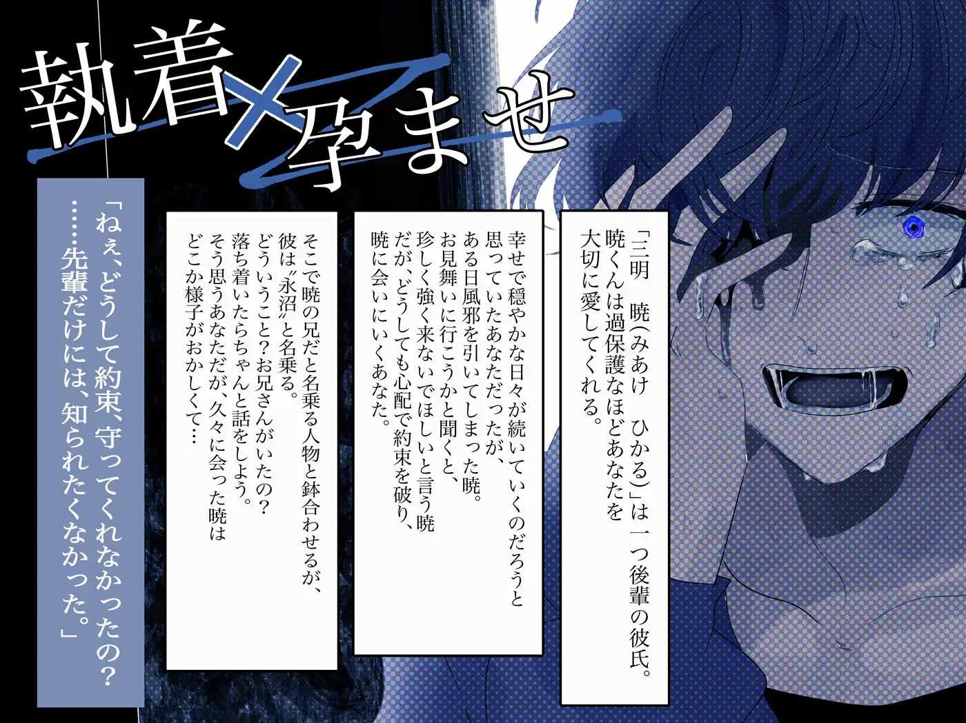 【激重執着×孕ませ】ひかるくん、 [Honey Hell] | DLsite がるまに