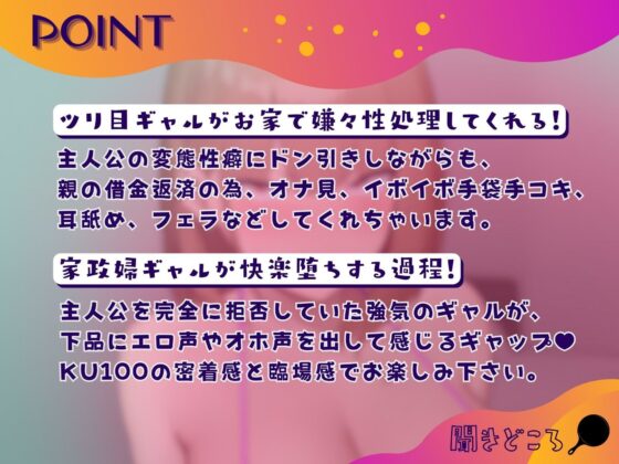 金払って借金ツリ目ギャルを「性処理」家政婦で手に入れた話。【KU100】(ドM女史団) - FANZA同人