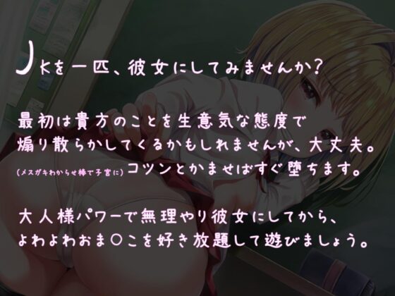 【強制純愛】生イキJKメスガキ分からせ調教 [もぷもぷ実験室] | DLsite 同人 - R18